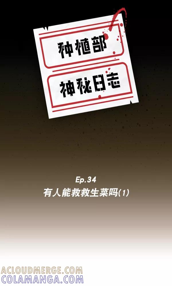 《种植部神秘日志》[第34话] 有人能救救生菜吗（1） 第7页