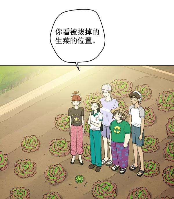 《种植部神秘日志》[第34话] 有人能救救生菜吗（1） 第41页
