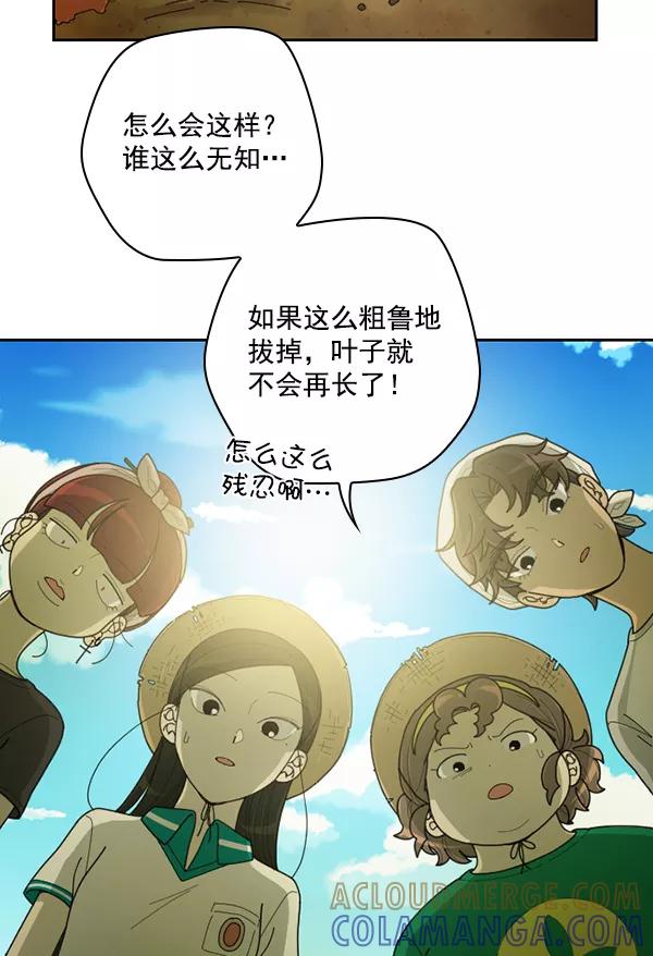 《种植部神秘日志》[第34话] 有人能救救生菜吗（1） 第31页