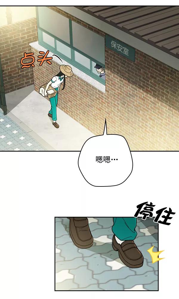 《种植部神秘日志》[第35话] 有人能救救生菜吗（2） 第58页