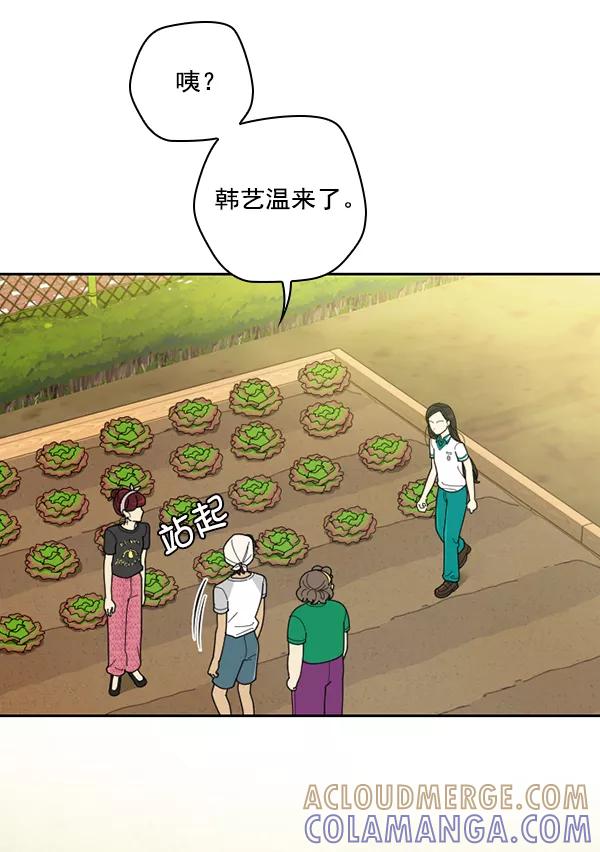 《种植部神秘日志》[第36话] 有人能救救生菜吗（3） 第43页
