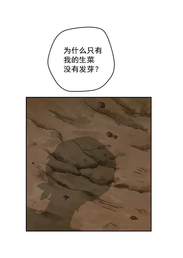 《种植部神秘日志》[第36话] 有人能救救生菜吗（3） 第38页
