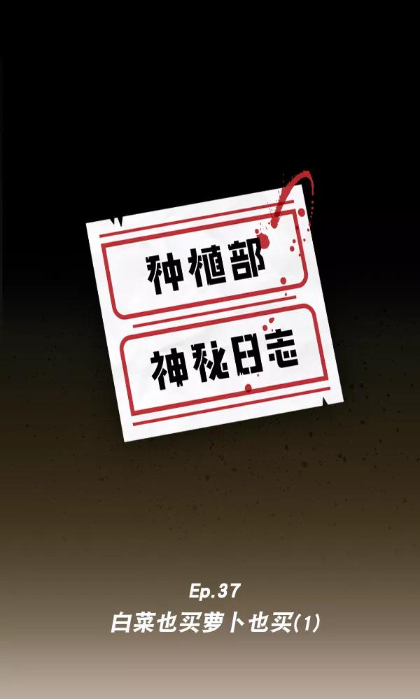 《种植部神秘日志》[第37话] 白菜也买萝卜也买（1） 第7页