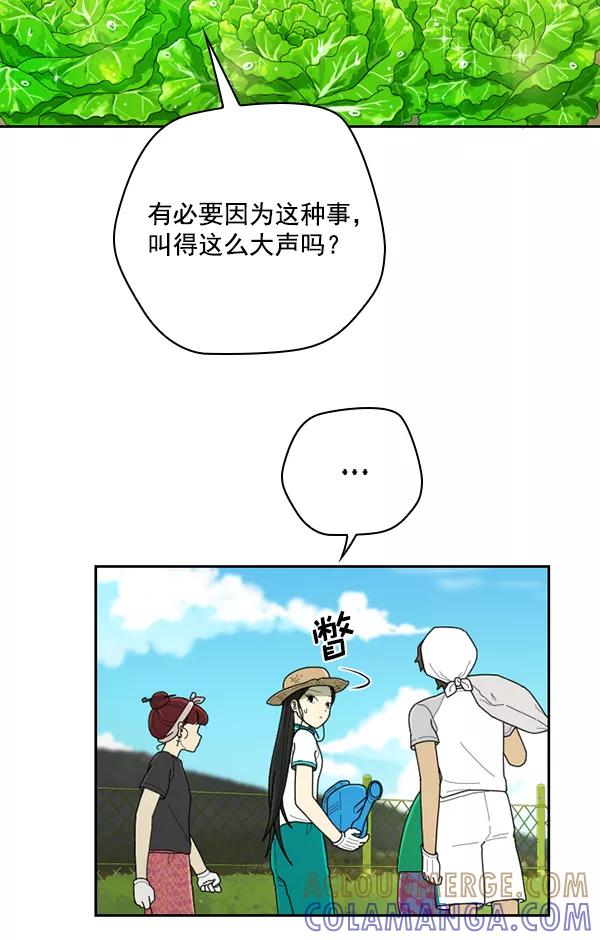 《种植部神秘日志》[第37话] 白菜也买萝卜也买（1） 第13页