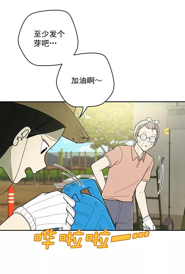 《种植部神秘日志》[第37话] 白菜也买萝卜也买（1） 第15页