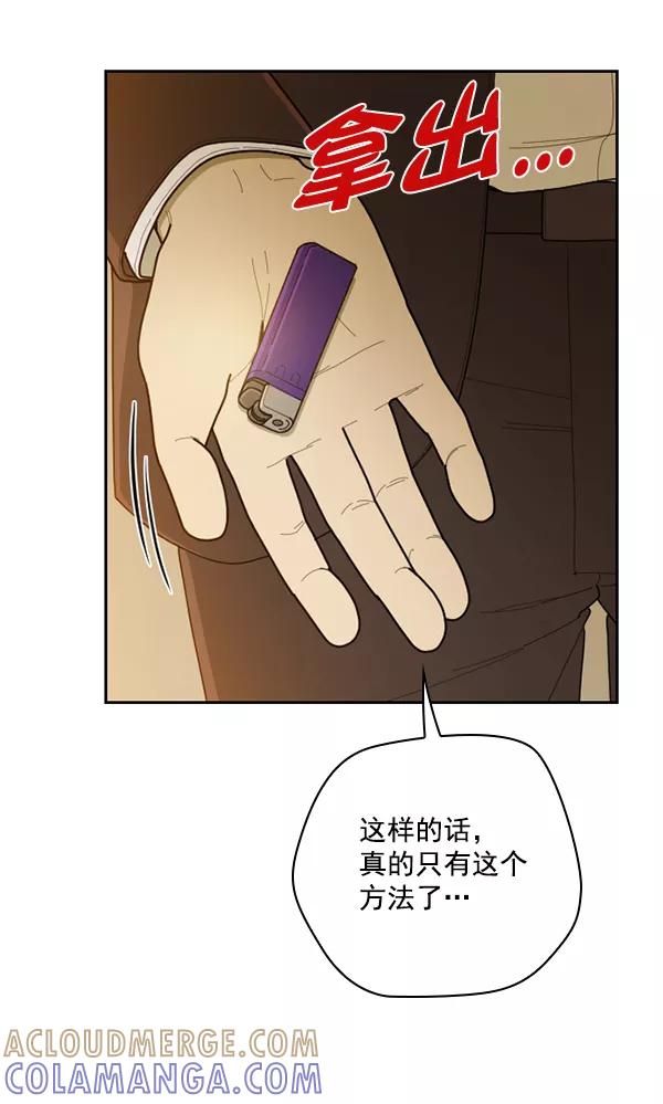 《种植部神秘日志》[第39话] 西蓝花你也是共犯 第19页