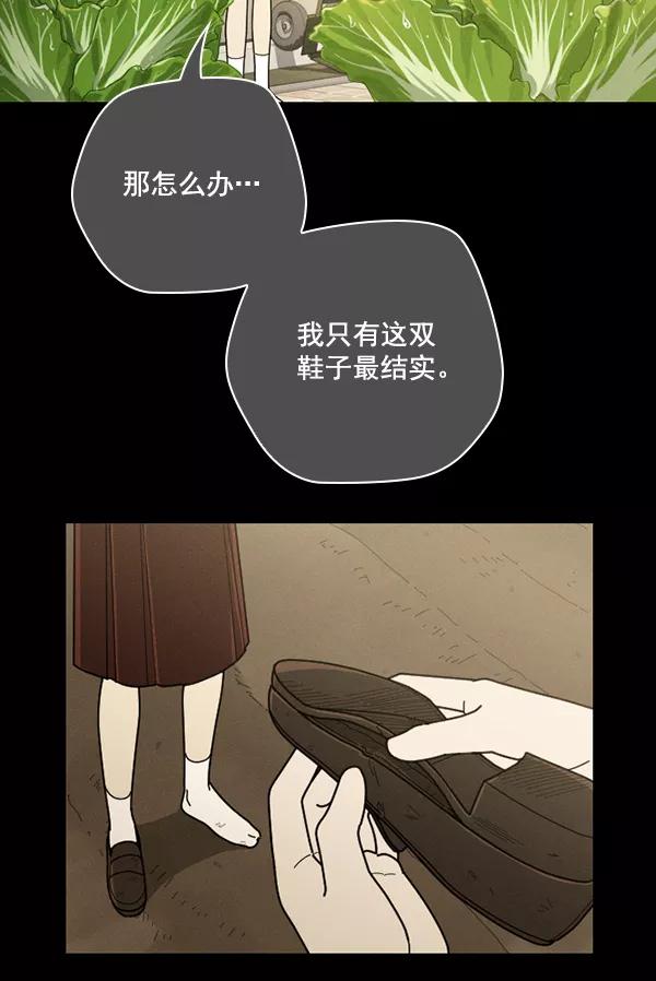 《种植部神秘日志》[第41话] 非常孤独的少年（2） 第41页