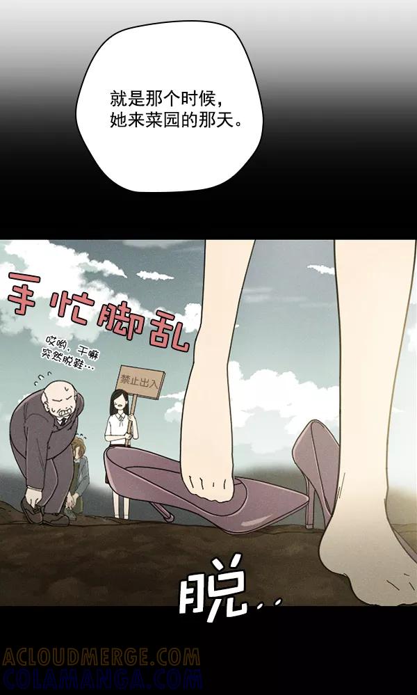 《种植部神秘日志》[第45话] 各种各样的谜团（1） 第21页