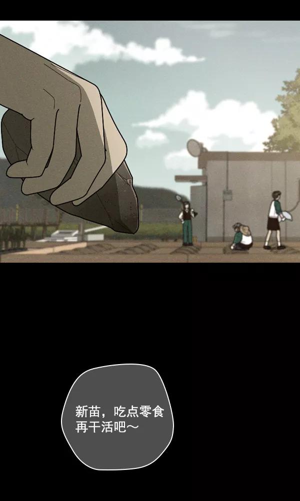 《种植部神秘日志》[第50话] 不得不为之的原因（2） 第80页