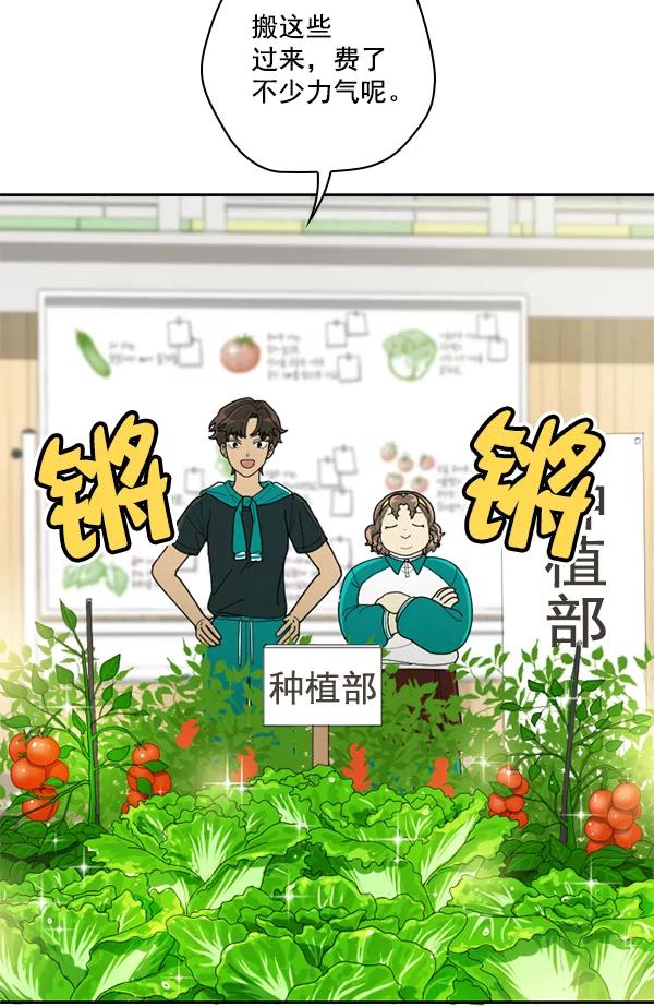《种植部神秘日志》[第51话] 地瓜来了 第28页