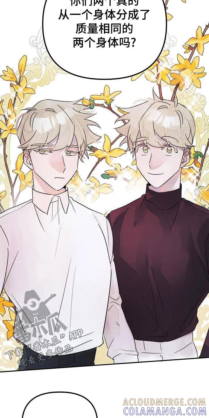 《婚恋天魔》第57章：回到原点 第3页