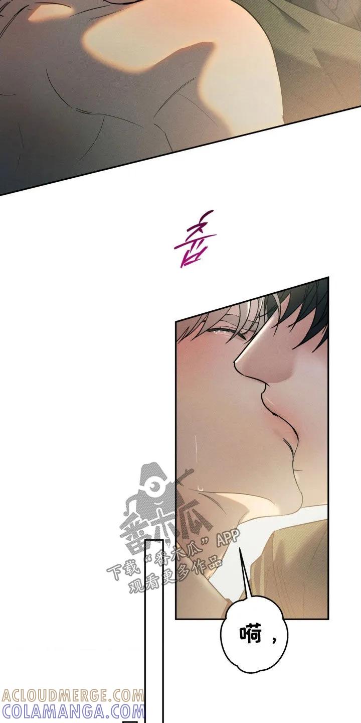 《反向协议》第61章：【第二季】打乱节奏 第19页