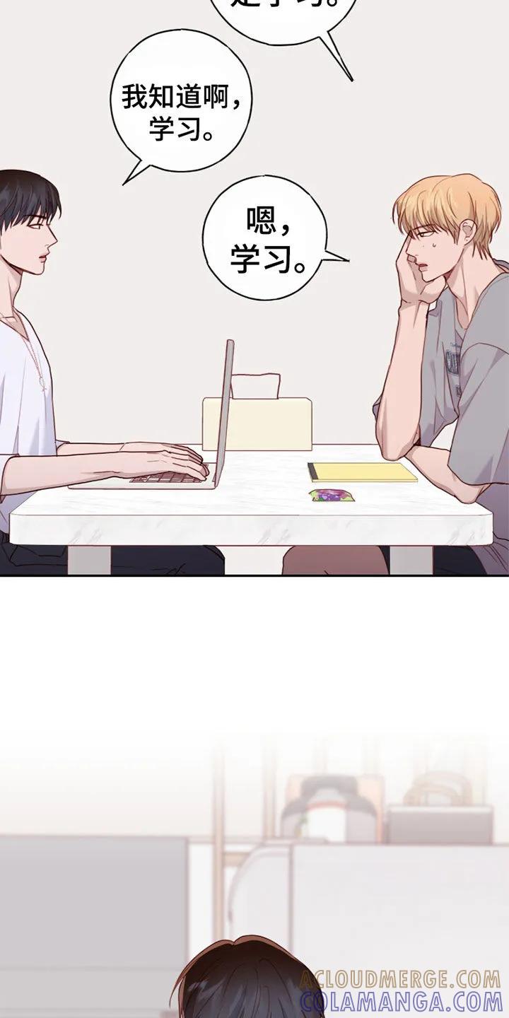 《幻想烛火》第65章：你是白痴吗 第27页
