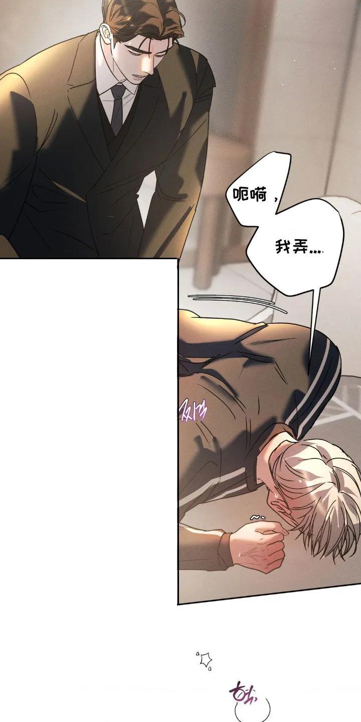 《反向协议》第66章：【第二季】再来一次 第12页
