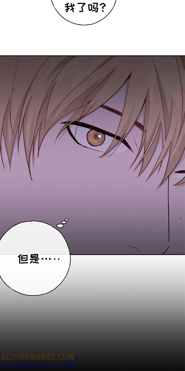《幻想烛火》第66章：我什么都会 第13页