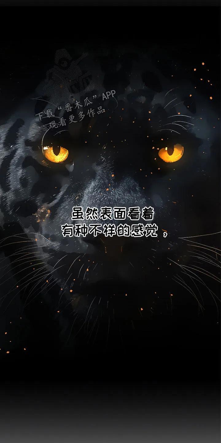 《幻想烛火》第66章：我什么都会 第14页