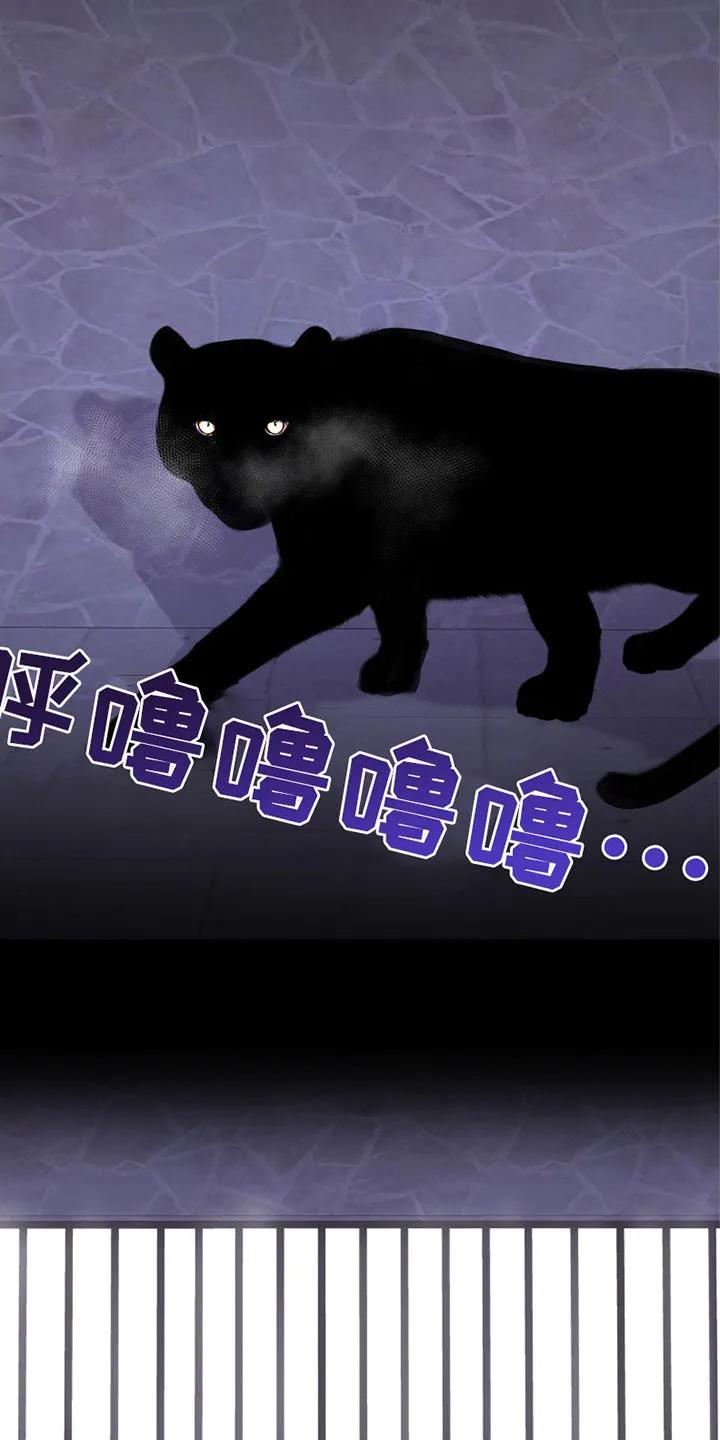 《幻想烛火》第66章：我什么都会 第10页