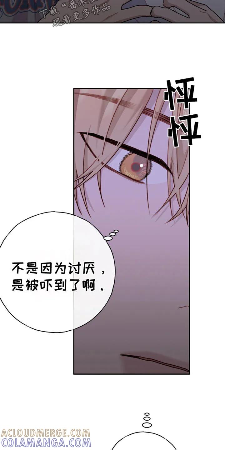 《幻想烛火》第66章：我什么都会 第31页