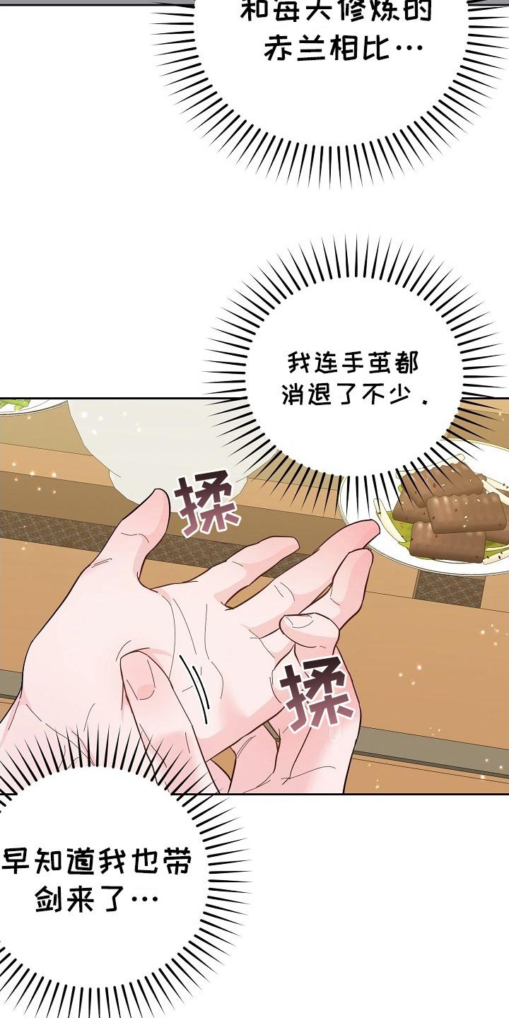 《陆地灵药》第15章：练剑 第22页