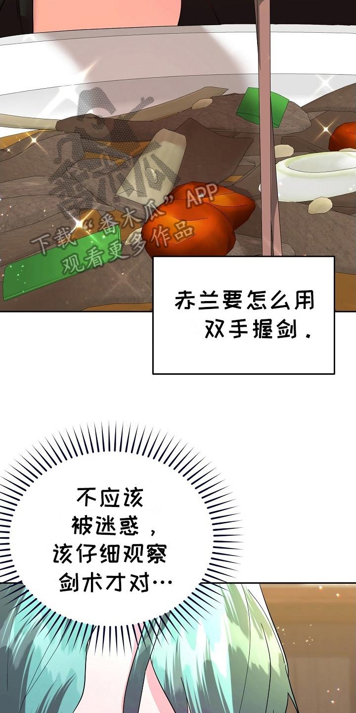 《陆地灵药》第15章：练剑 第20页