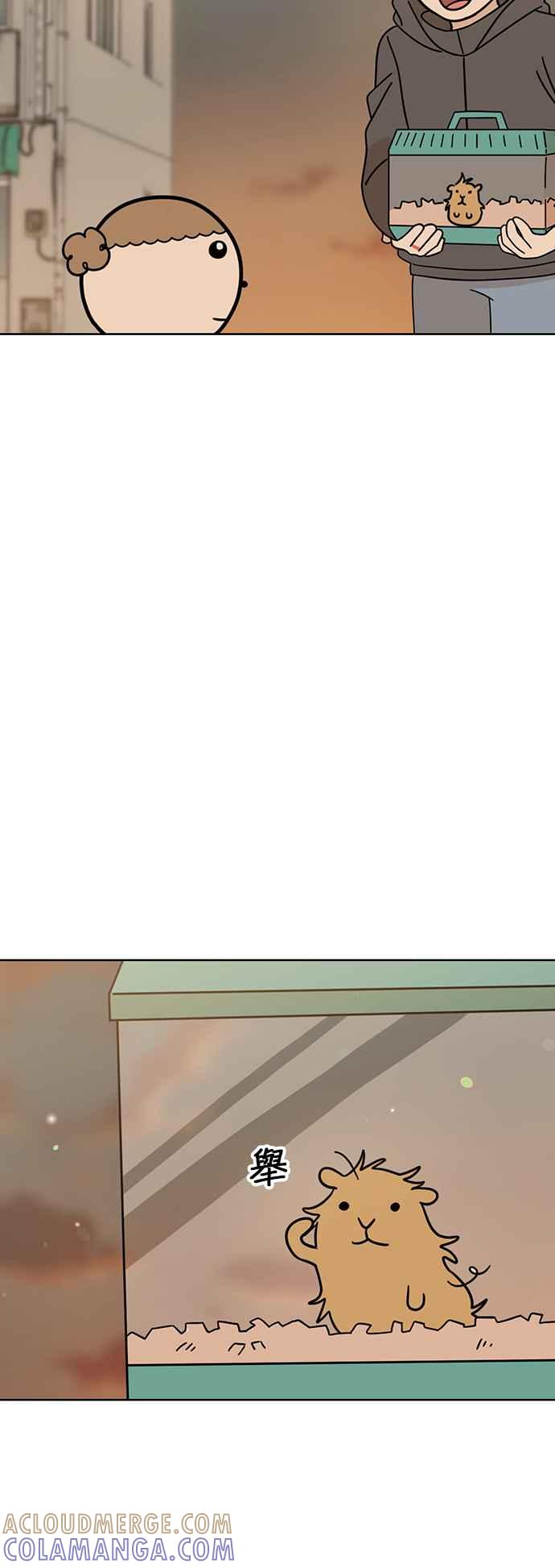 我家妹妹是狗狗 第78话 回家！ 第34页
