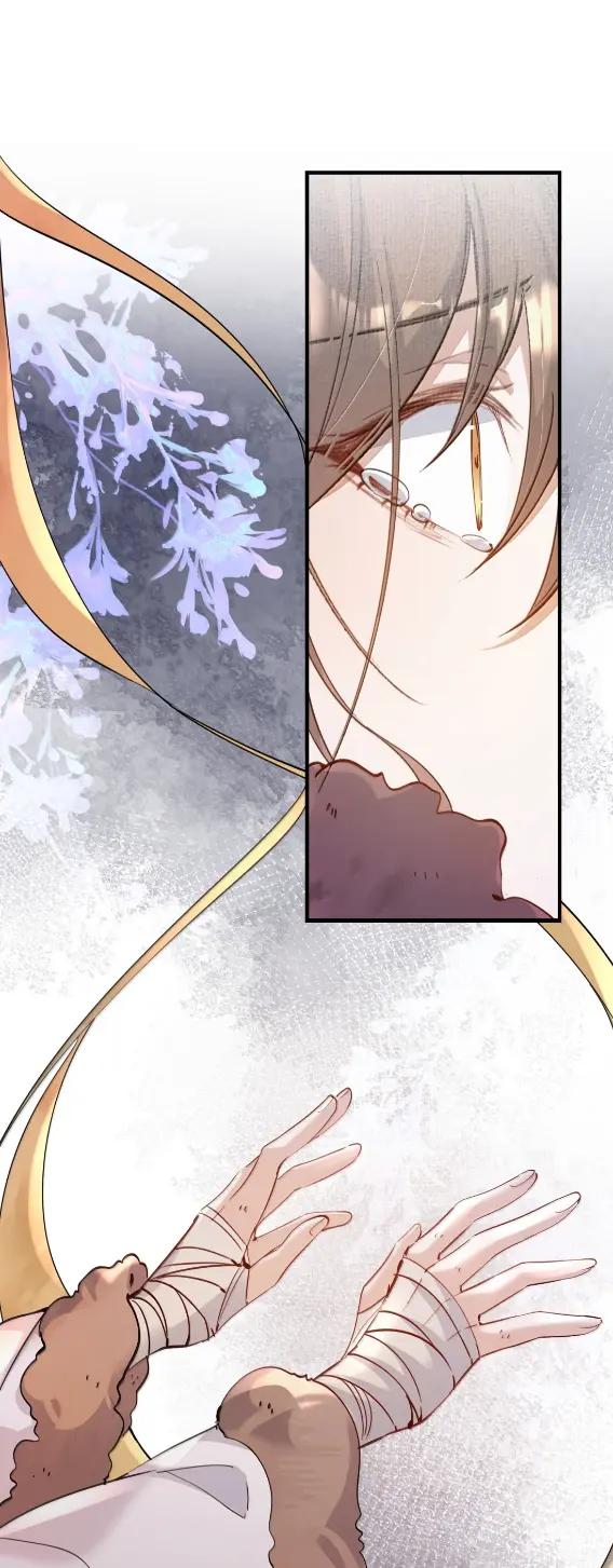 《乱世为王》135 满江红·惊觉 第38页
