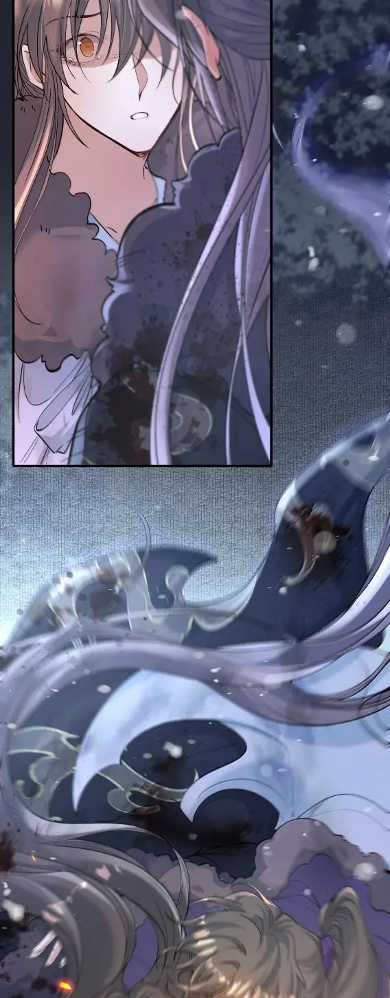 《乱世为王》135 满江红·惊觉 第41页