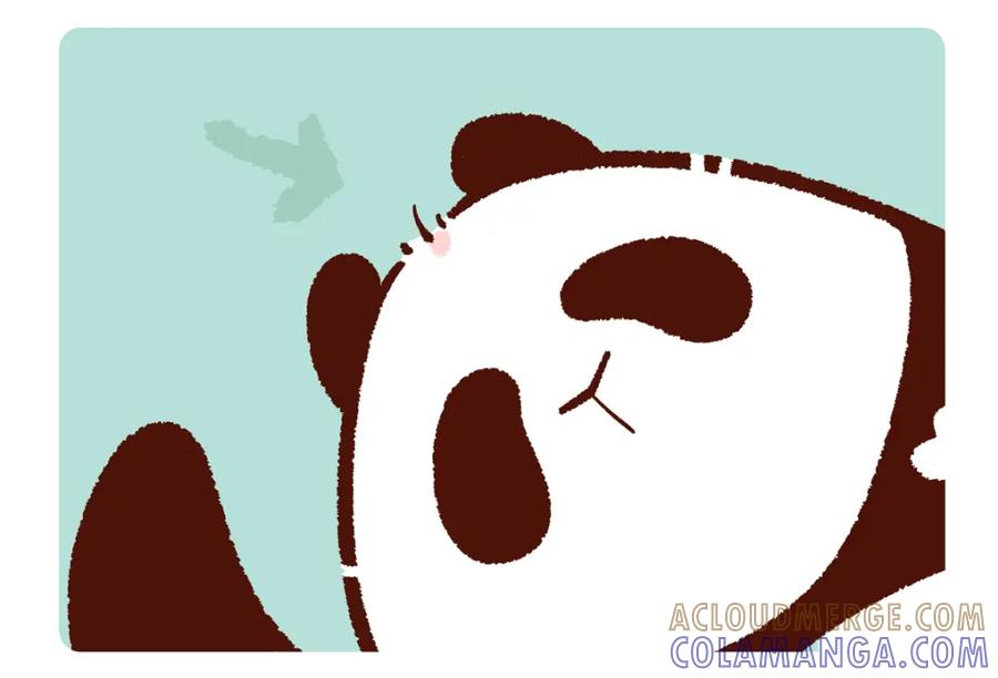 《胖达x胖达》第246话 第3页