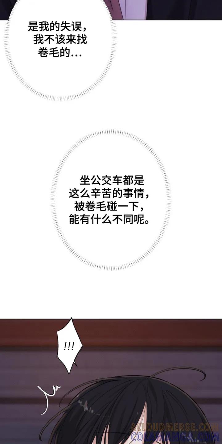 《海岛人生》第57章：【第二季】你别管我 第31页