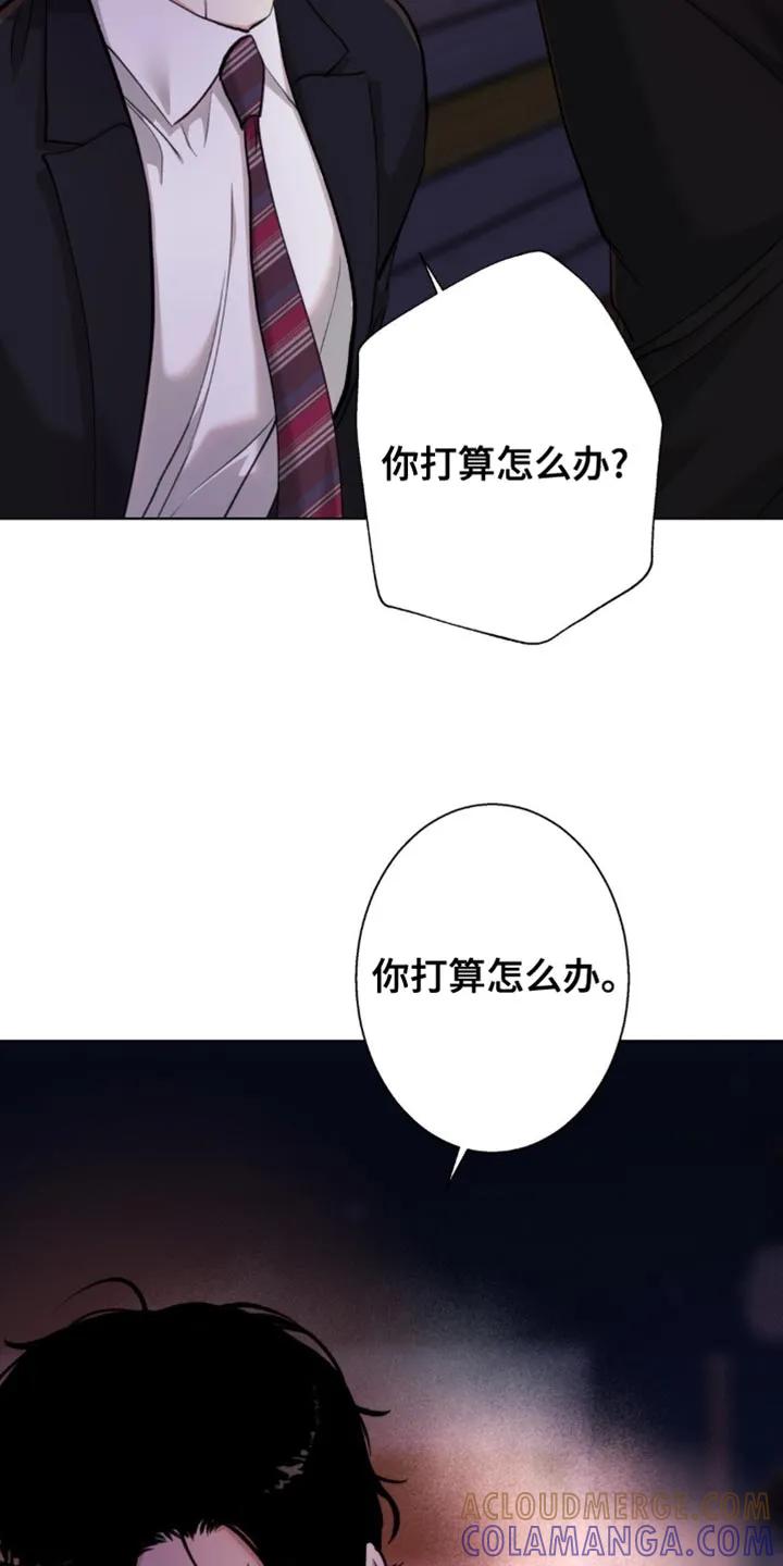 《海岛人生》第58章：【第二季】袒护 第11页