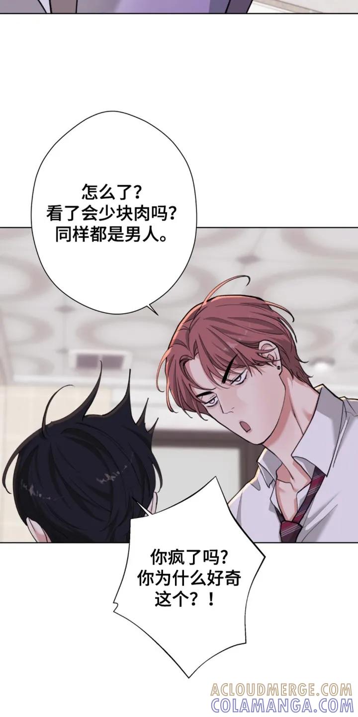 《海岛人生》第59章：【第二季】好奇 第29页