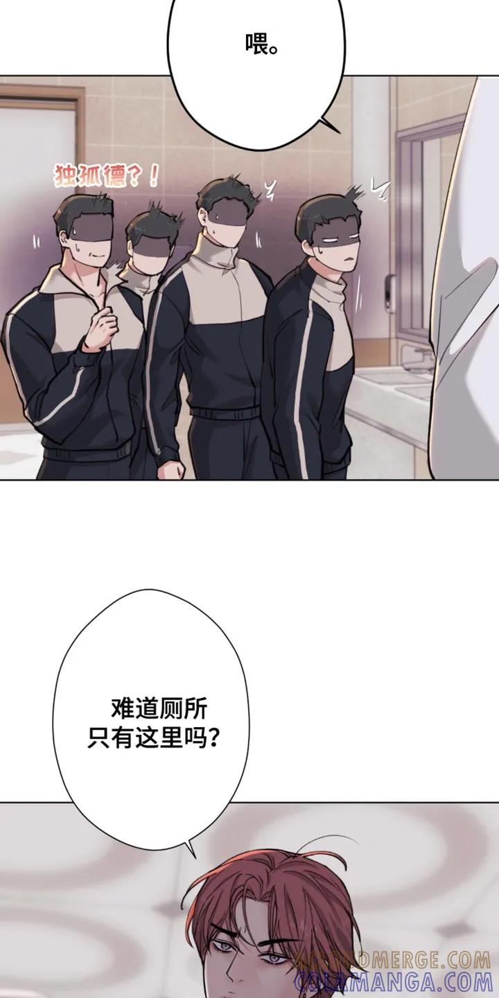 《海岛人生》第59章：【第二季】好奇 第33页
