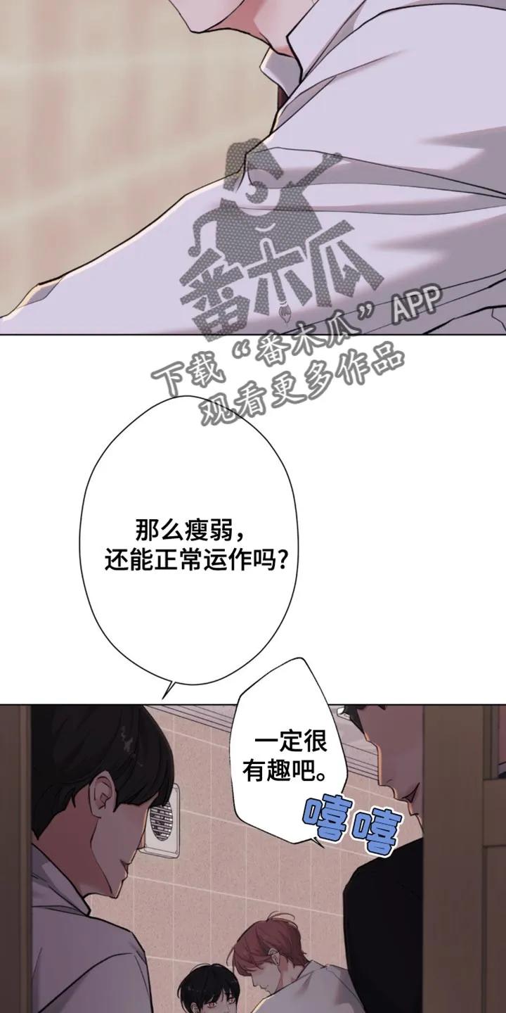 《海岛人生》第60章：【第二季】太无聊了 第8页