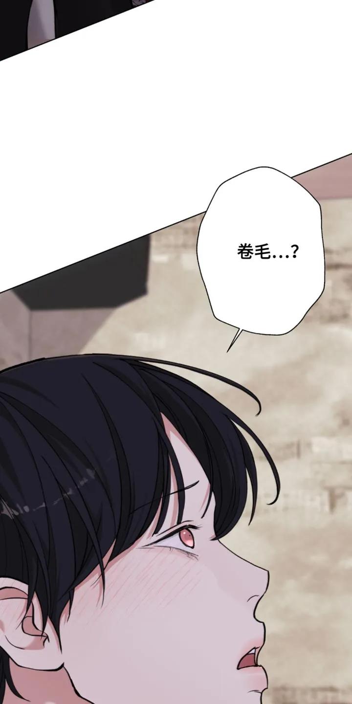 《海岛人生》第62章：【第二季】你现在这是做什么？ 第30页
