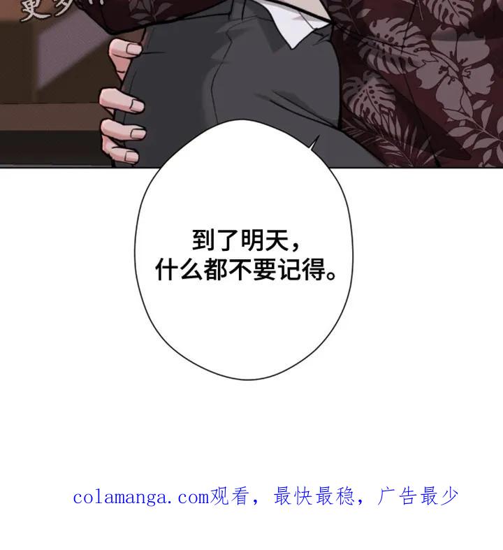 《海岛人生》第63章：【第二季】什么都不要记得 第28页