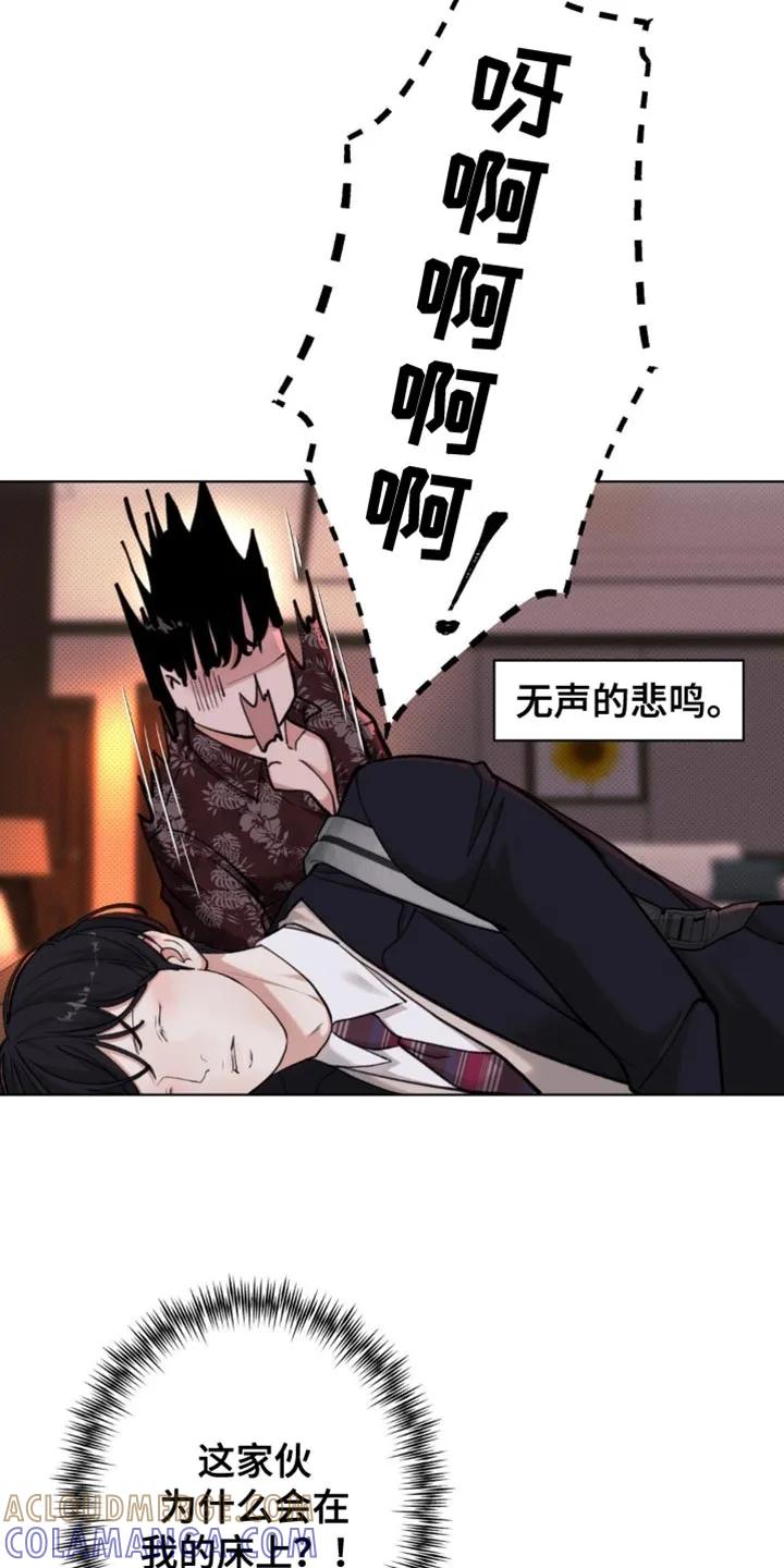 《海岛人生》第63章：【第二季】什么都不要记得 第5页