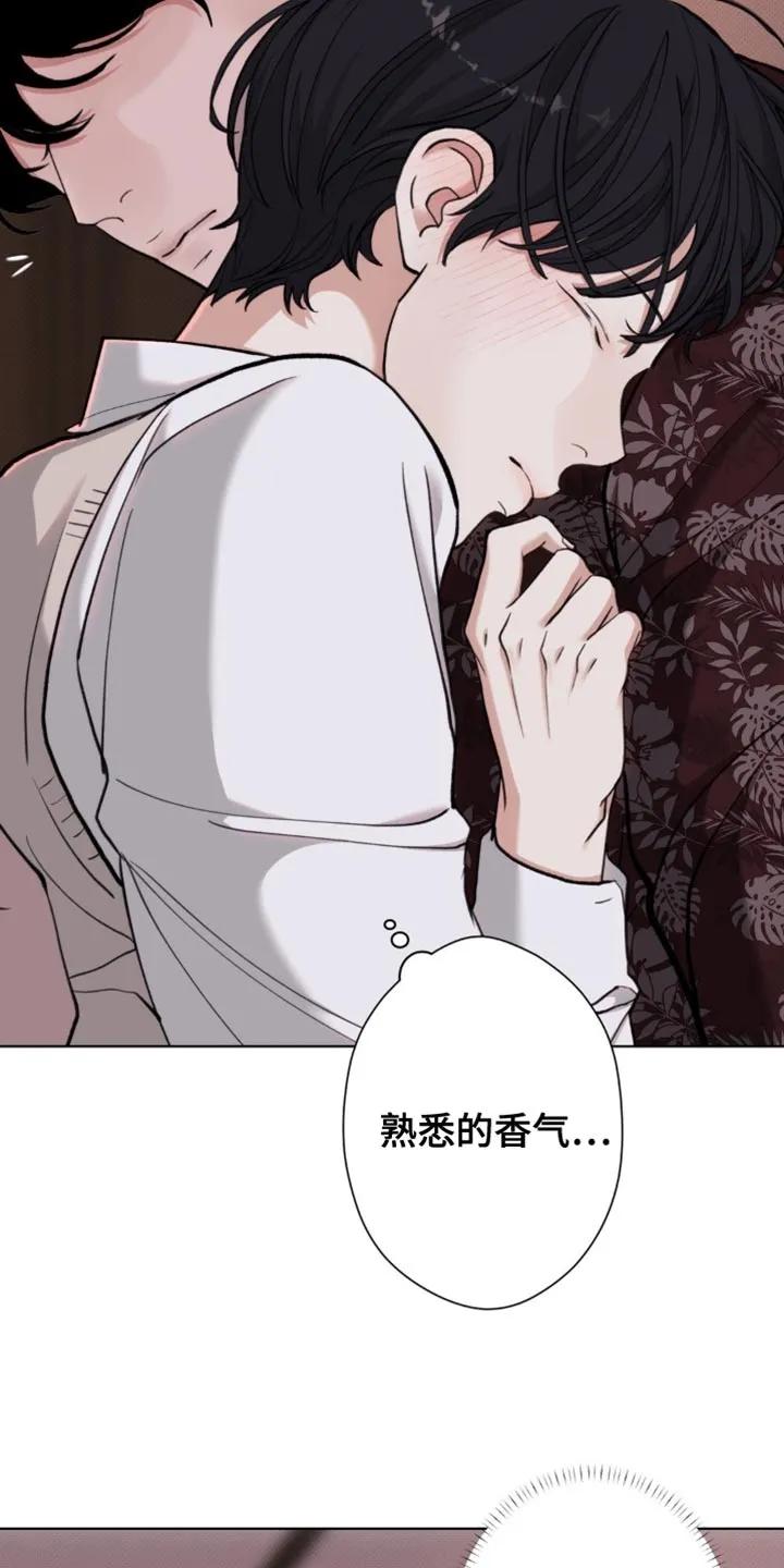 《海岛人生》第63章：【第二季】什么都不要记得 第20页
