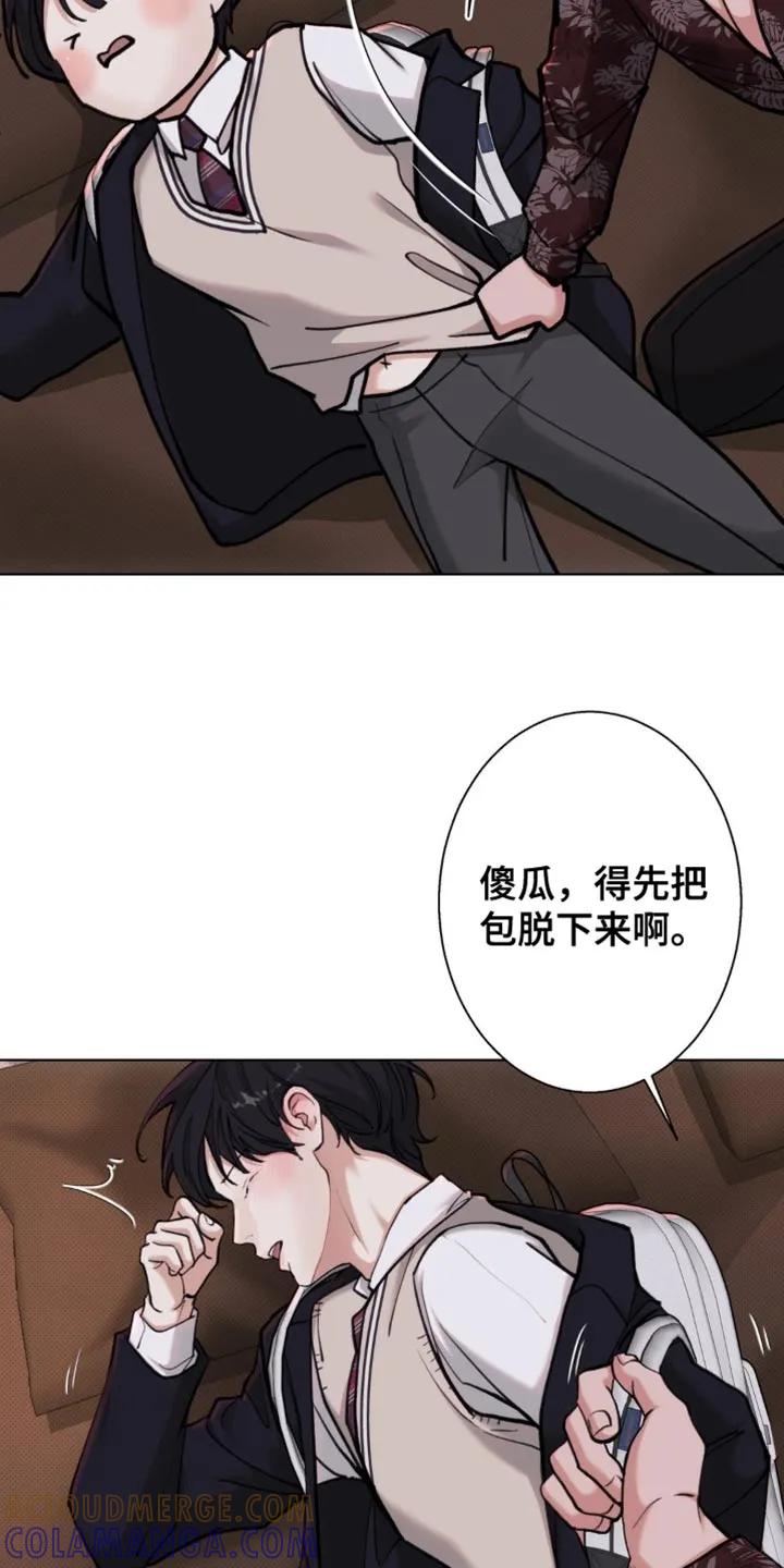 《海岛人生》第63章：【第二季】什么都不要记得 第11页