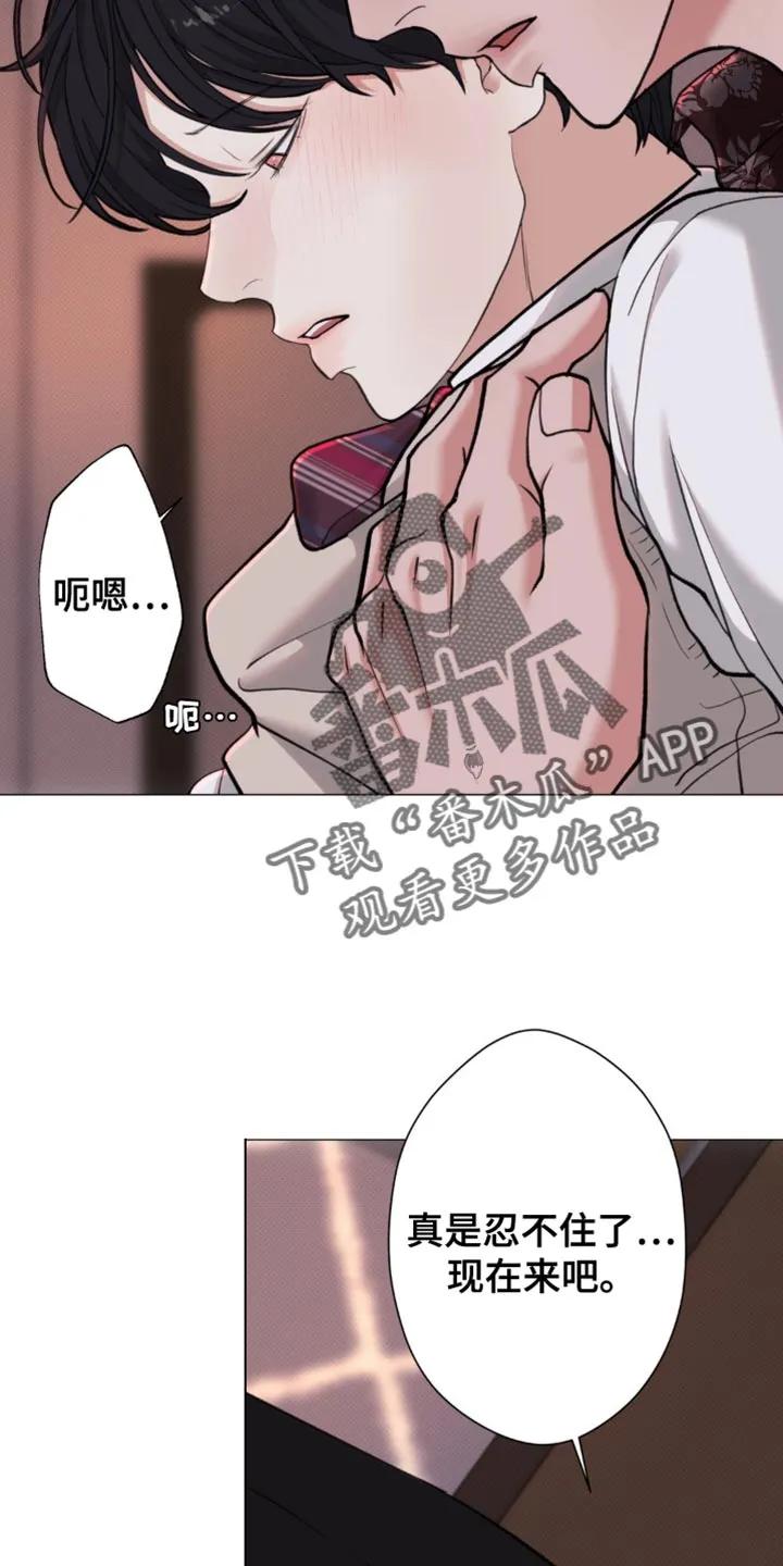 《海岛人生》第66章：【第二季】现在才刚刚开始 第14页
