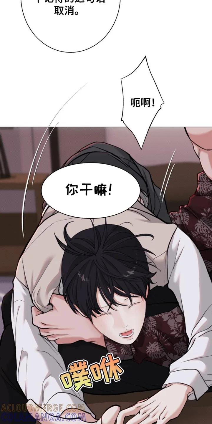 《海岛人生》第66章：【第二季】现在才刚刚开始 第5页