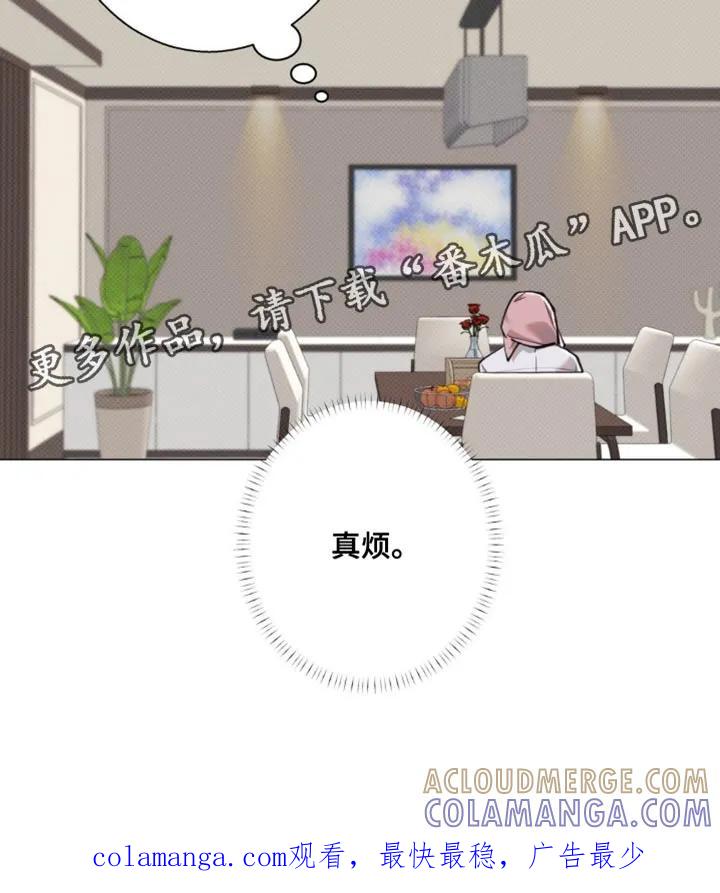 《海岛人生》第68章：【第二季】准备得太熟练了 第19页