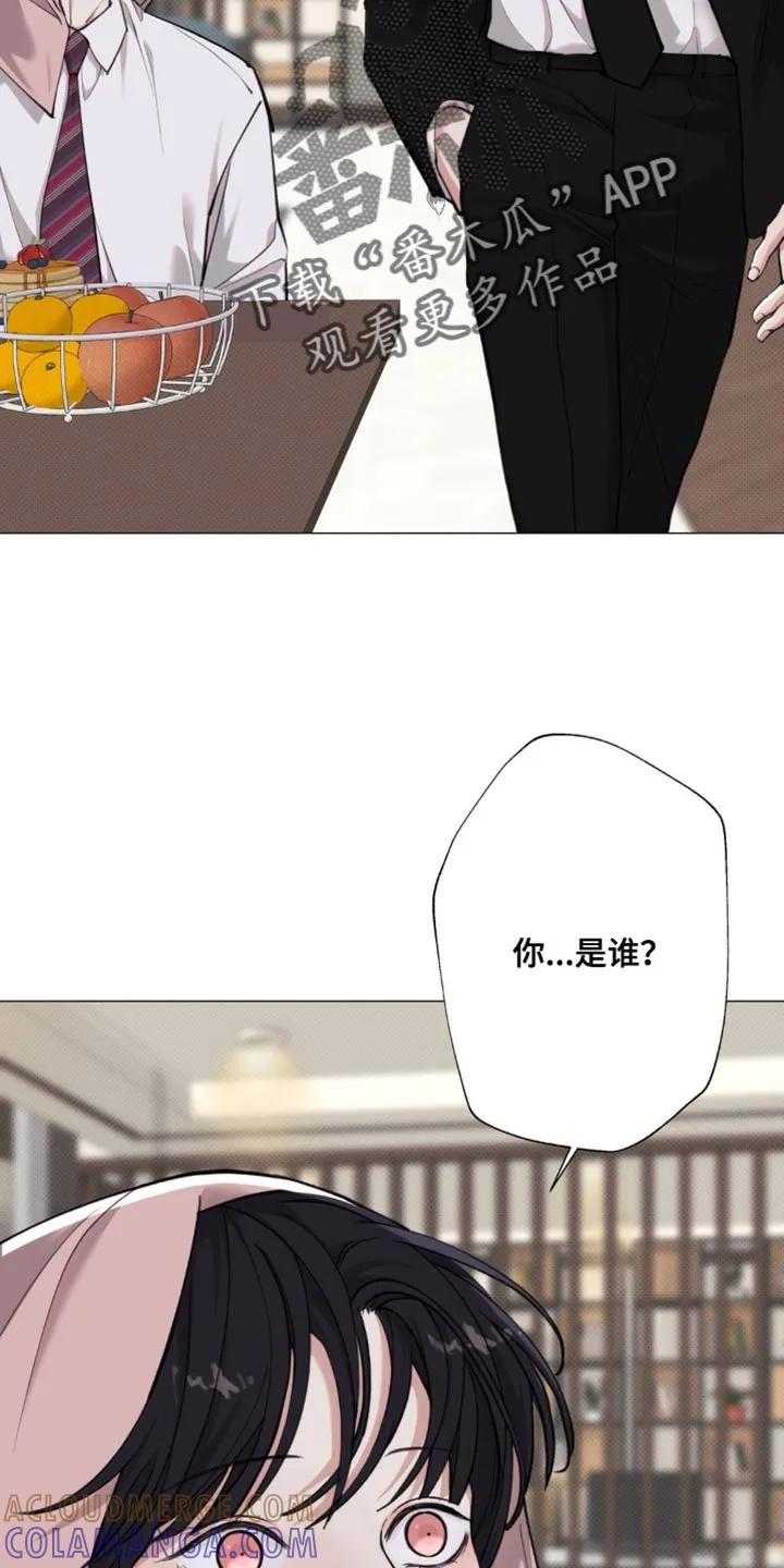 《海岛人生》第69章：【第二季】自己的隐情 第3页