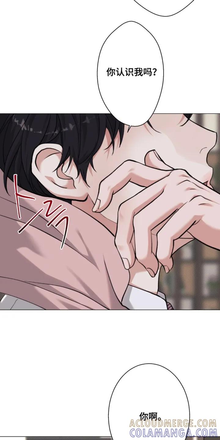 《海岛人生》第69章：【第二季】自己的隐情 第7页