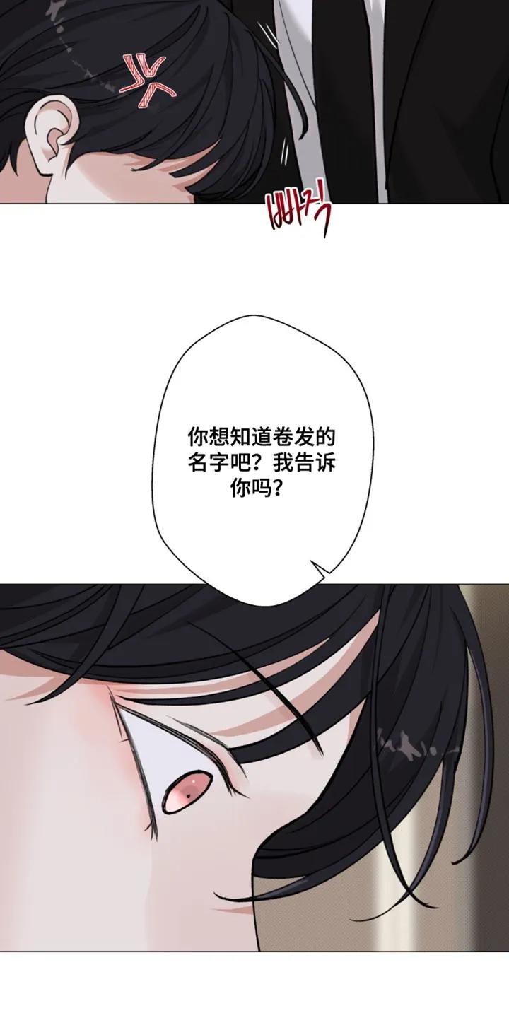 《海岛人生》第69章：【第二季】自己的隐情 第16页