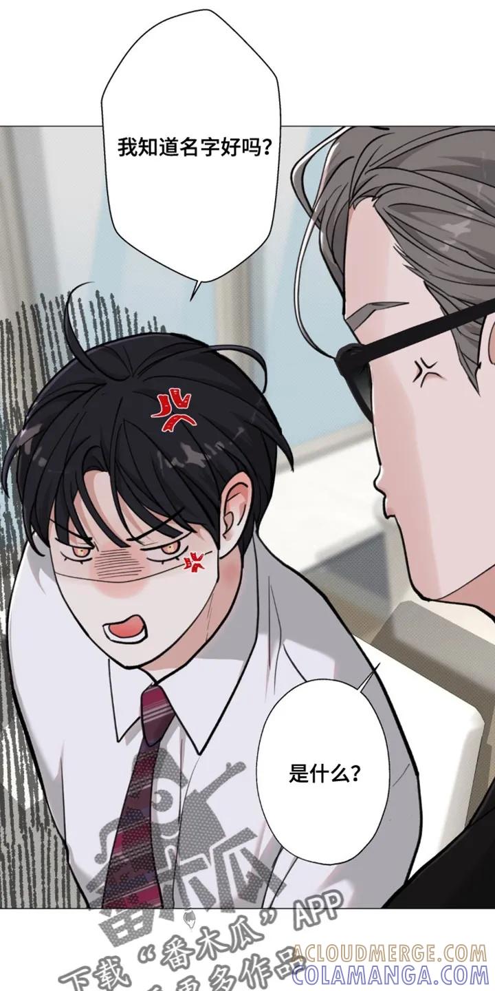 《海岛人生》第69章：【第二季】自己的隐情 第17页