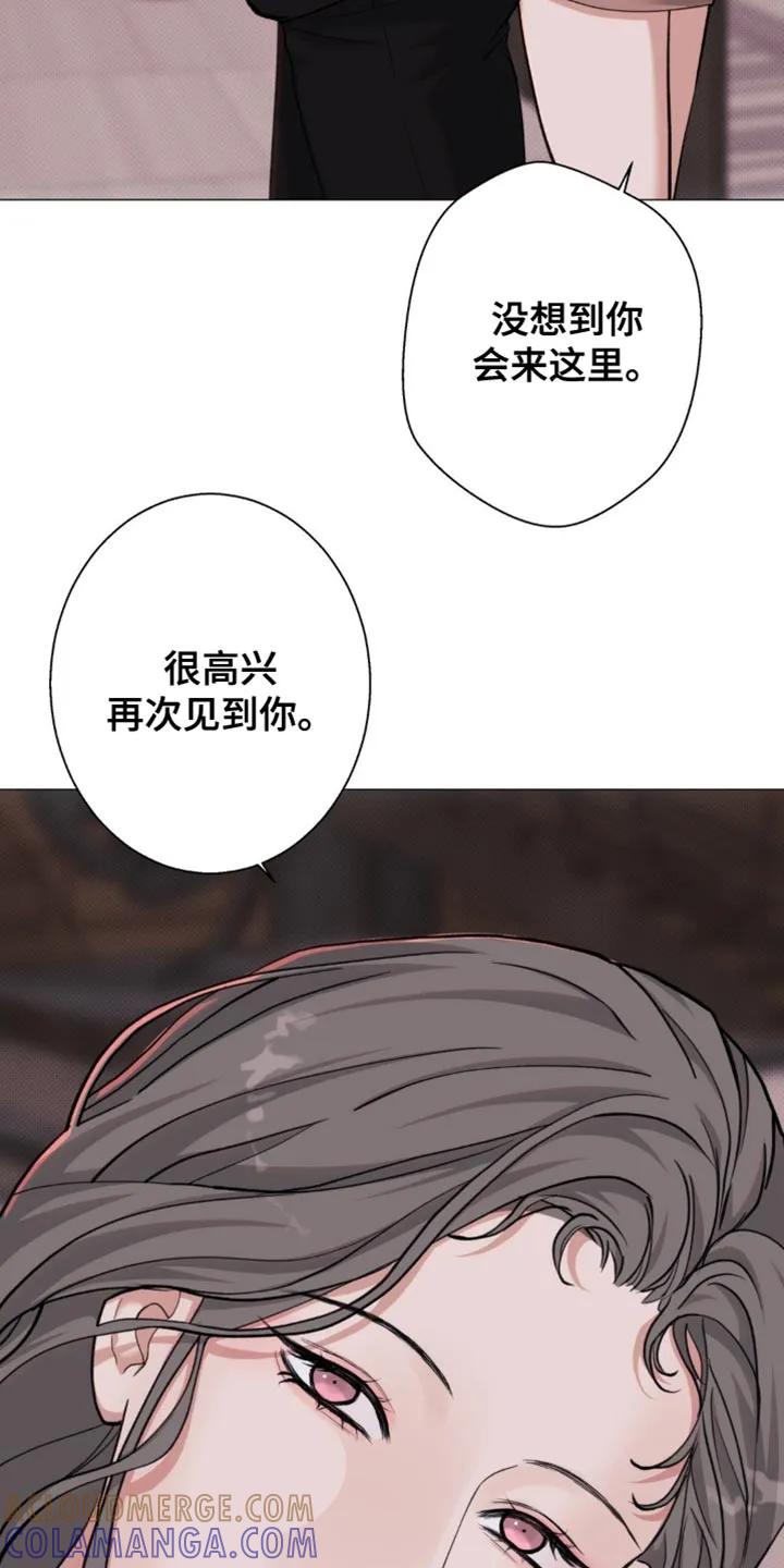 《海岛人生》第71章：【第二季】完全不感兴趣 第13页