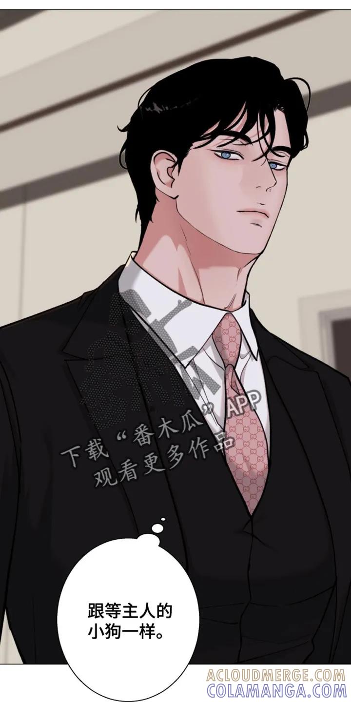 《海岛人生》第74章：【第二季】那试着说服我 第5页