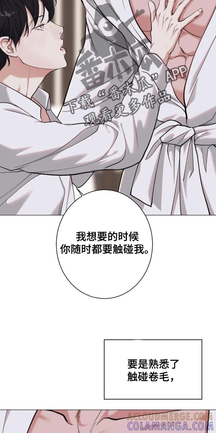 《海岛人生》第76章：【第二季】哪里都不要去 第7页