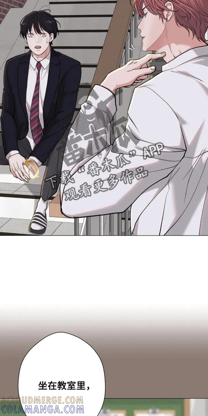 《海岛人生》第77章：【第二季】善良 第33页