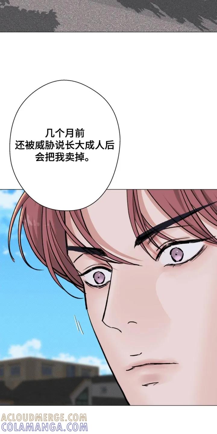 《海岛人生》第78章：【第二季】拿开你的脏手 第9页